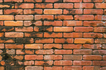 Orange grunge brick wall for background 