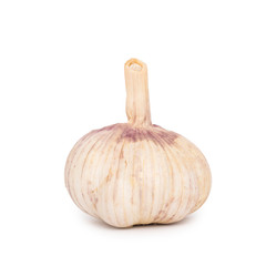 Garlic - isolated on white background