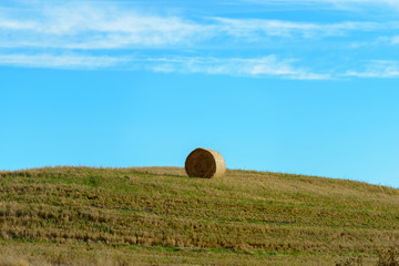 Landscape of New Zealand