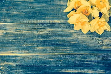 Crédence de cuisine en verre imprimé Narcisse Floral corner with beautiful daffodils flowers selected on rusti