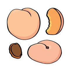 Cute peaches, illustration