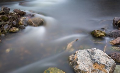 Close up of river with stones and plants