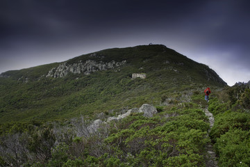 Capraia Island, Arcipelago Toscano National Park, Tuscany, Italy
