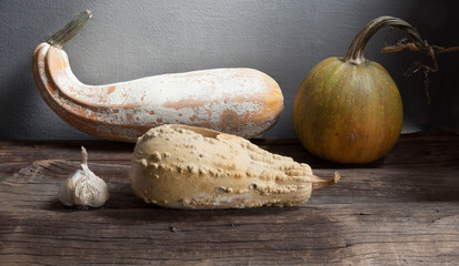 dry garlic, pumpkin, zucchini