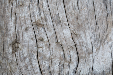 Macro wood texture on old city pavement