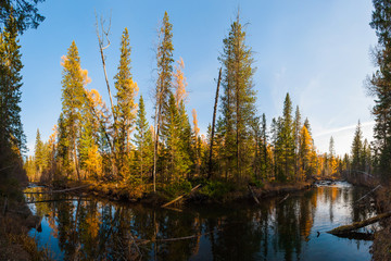 Taiga river in the autumn forest