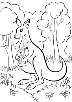 Coloring pages. Cute kind kangaroo with the baby in the forest.
