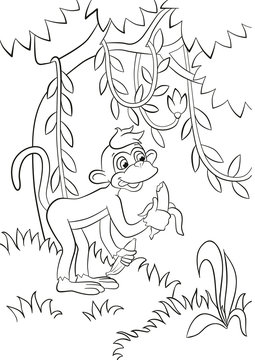 Coloring pages. Little cute monkey is eating banana in the forest. Its smiling and happy