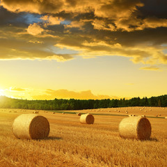 Obrazy na Szkle  Bele słomy na polach uprawnych o zachodzie słońca