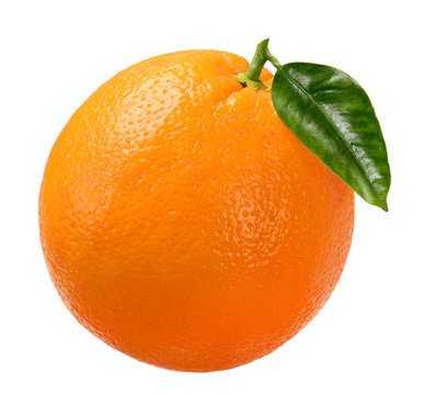 Orange mit Blatt