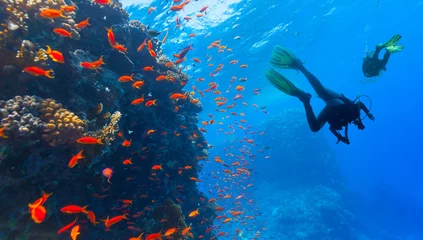 Printed kitchen splashbacks Diving Scuba diver explore a coral reef