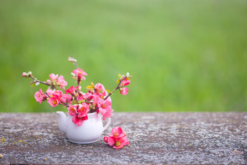 Beautiful pink flowers in small vase