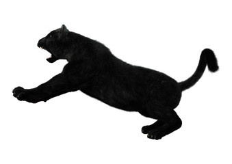 Black Panther on White