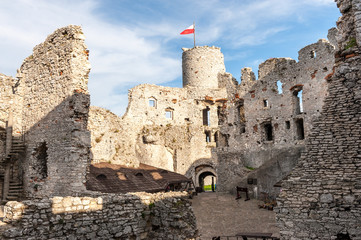 Fototapeta Ruins of medieval castle obraz