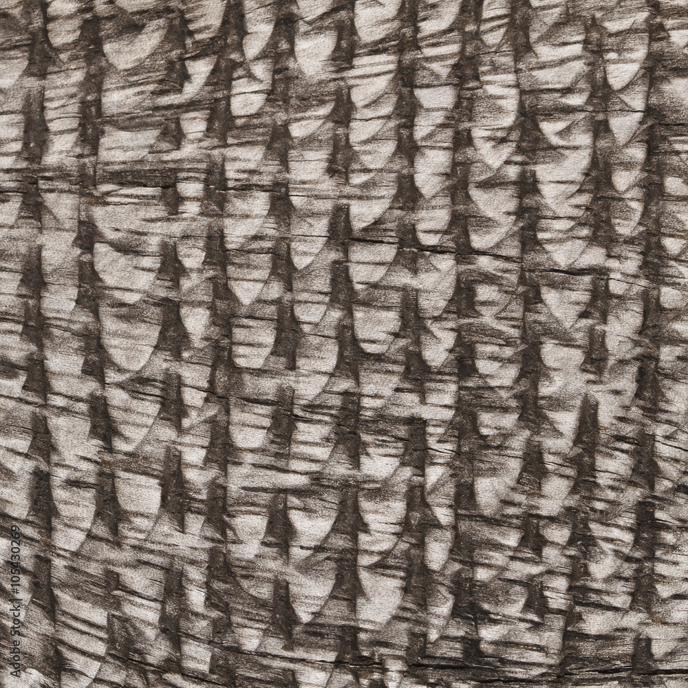 Poster design on wood for pattern and background