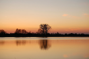 Obraz premium Drzewa nad jeziorem o zachodzie słoń