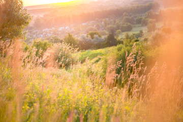 Fototapeta premium Beautiful rural landscape with sunrise over a meadow. Soft focus