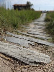 Océan Atlantique La Rochelle Île D'Oléron Parc a Huîtres
