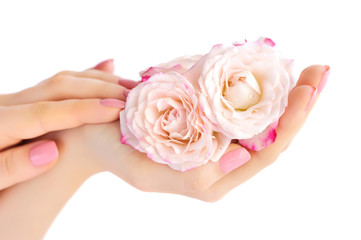Obraz na płótnie Canvas Hands of a woman with pink roses isolated on white background