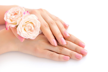 Hands of a woman with pink manicure on nails  and roses against white background