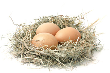 Organic eggs in a nest of hay on white background
