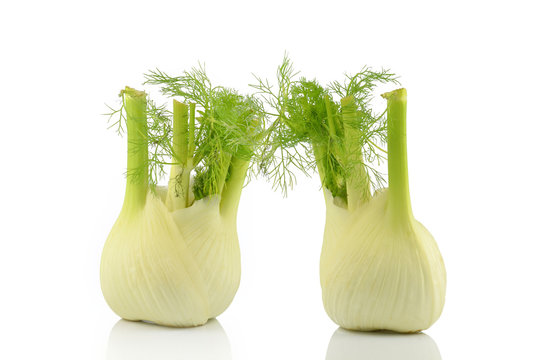 two isolated fennel