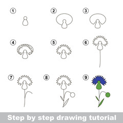 Drawing tutorial. How to draw a Cornflower