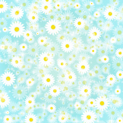 Obraz premium Petal background Daisy