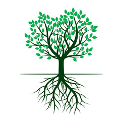 Fototapeta premium Green tree and Roots. Vector Illustration.