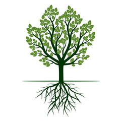 Obraz premium Green tree and Roots. Vector Illustration.