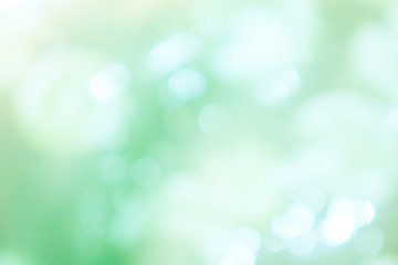Fototapeta premium Abstract green tone fresh spring background