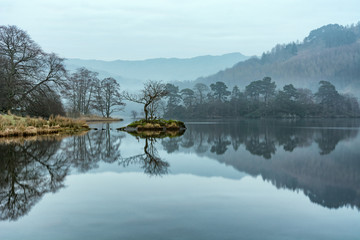 Lone tree at Rydal Water in the English Lake District with clear reflections on a fresh spring...