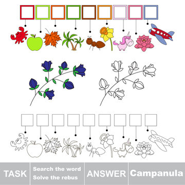 Vector game. Search the word. Find hidden word Campanula