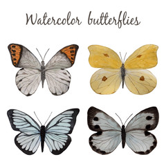 Butterfly, watercolor illustration. Vector set isolated of butterflies on white background.