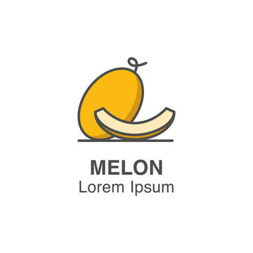 Melon and melon slice vector icon. Tropical fruits illustration 