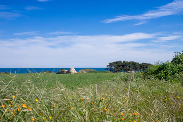 Countryside with trullo huts along the coast of Polignano a Mare. Apulia, Italy