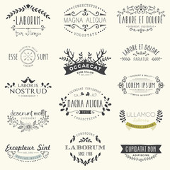 Vintage Hand Drawn Logos