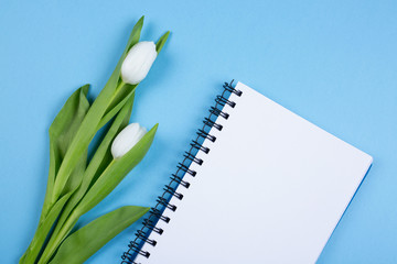 tulip  and blank notebook