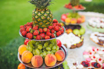 Fruit SIlver Tray