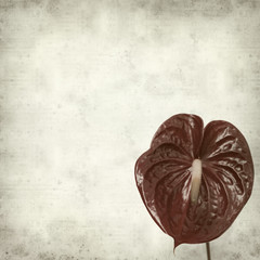 textured old paper background