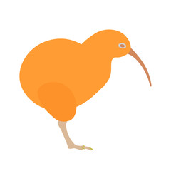 Kiwi bird vector illustration. Kiwi bird on white background. Kiwi bird. Kiwi bird illustration. Kiwi bird isolated vector.