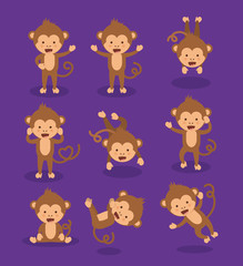 funny monkey  design 