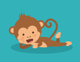 funny monkey  design 
