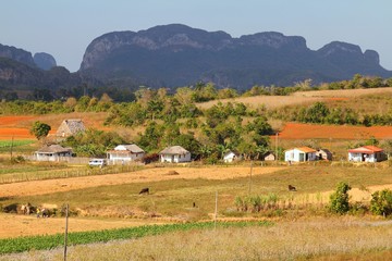 Obraz premium Rural Cuba - Vinales National Park