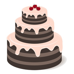 Tasty chocolate cake