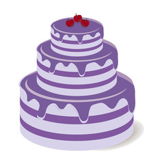 Tasty chocolate cake