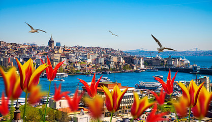 Istanbul die Hauptstadt der Türkei, östliche Touristenstadt.