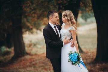 Amazing happy gentle stylish beautiful romantic caucasian couple walking autumn park