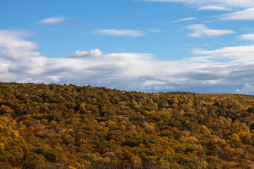 autumn landscape with colorful forest, blue sky and clouds