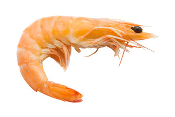 Boiled shrimp isolated on white background